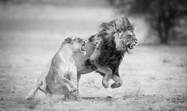 Владислав С