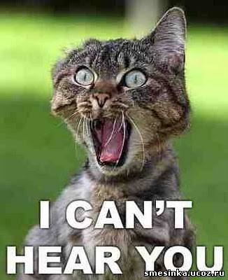 Сергей Стариков