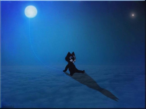 Денис Солодухин