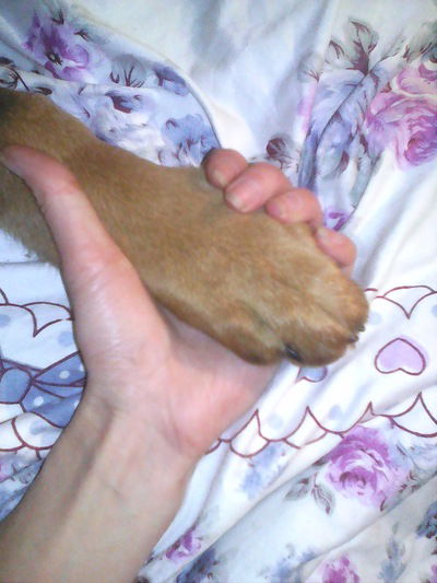 Гелла Трубецкая