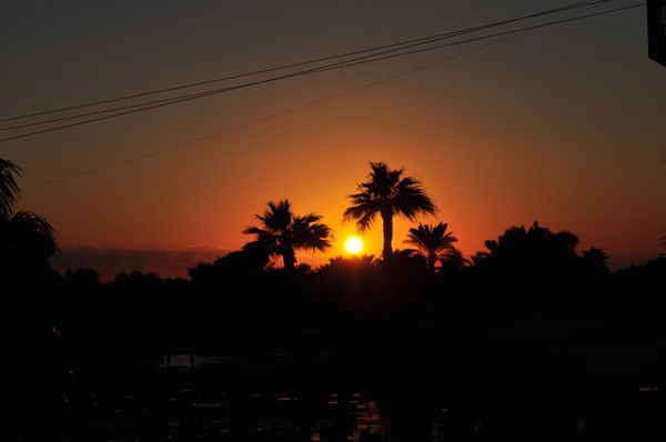 Сергей Никитский