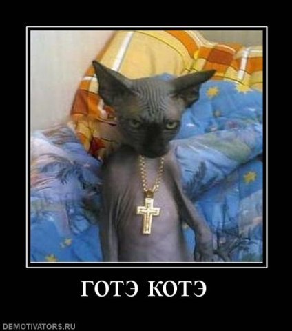 Неизвестно Неизвестно