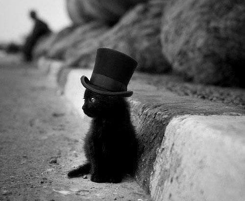 Галина Кобелева