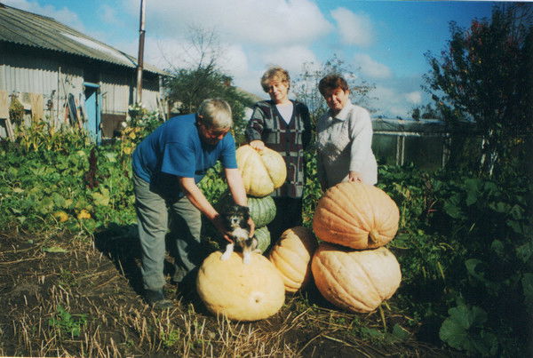 Алевтина Булло