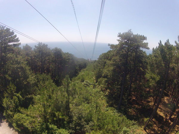 Илья Морозов