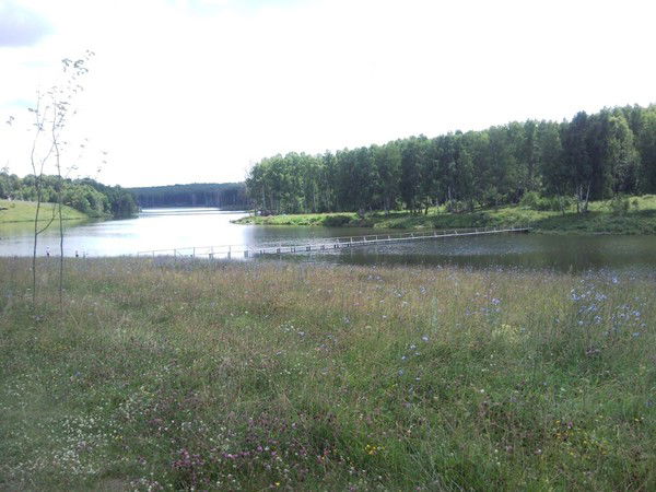 Виталий Улинкин