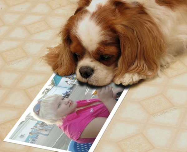 Светлана Герасимова