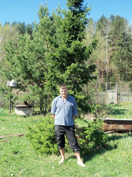 Владимир Добрынин