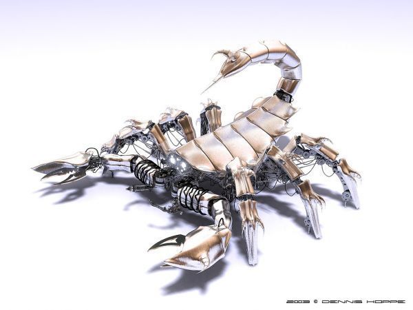 Альмира Джанзакова