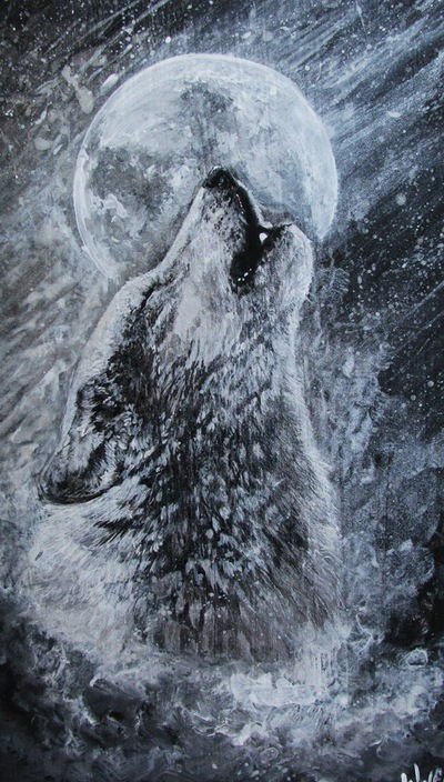 Илья Стасюк