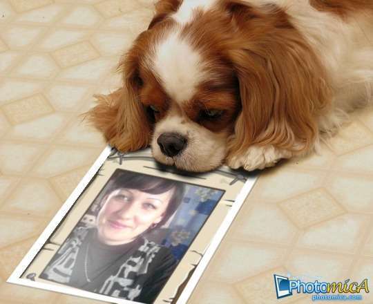 Светлана Грязева