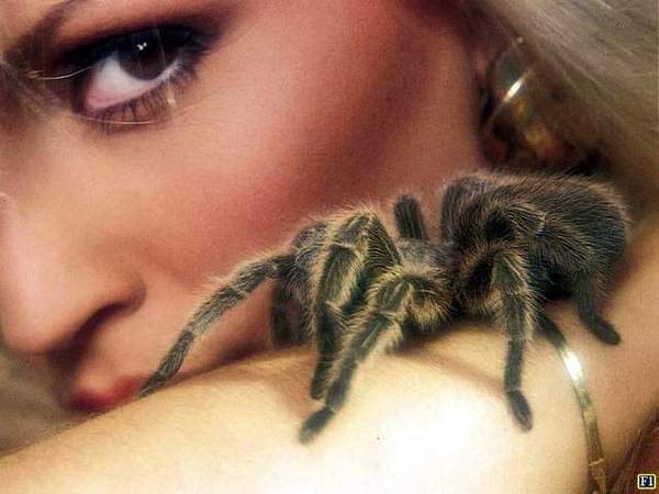 Ольга Иванкина