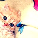 Karina*-* Karina*-*