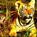 Сергей Артемьев