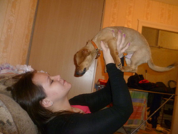 Елена Сыченкова