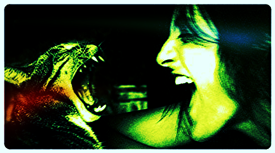 3: Не Моська =( Кошечк@ )