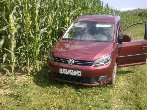 Татьяна Стеценко