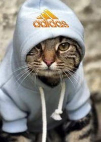 Семён Бойко