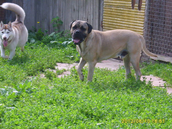 Наталья Голованова