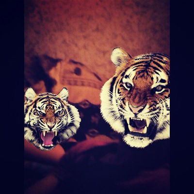 Ашот Григорян