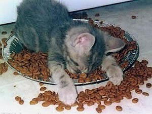 Евгения Давыдова