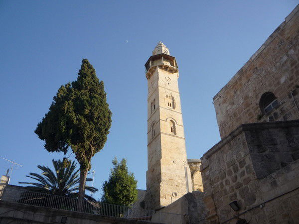 Людмила Казанцева