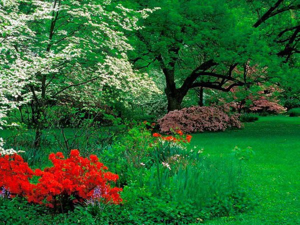 Математика Есептеу Техникасы