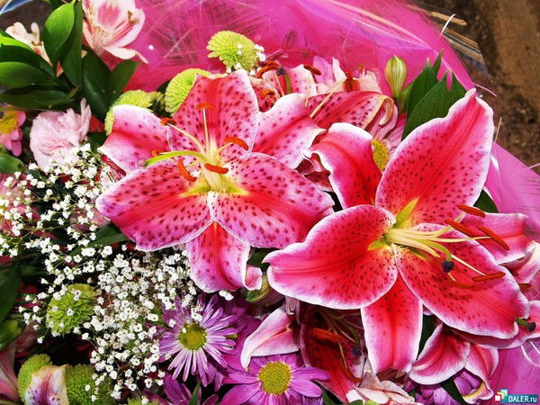 Марина Корецкая