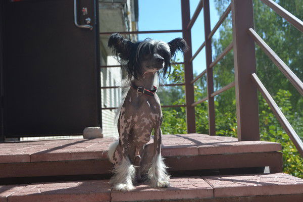 Мария Мария