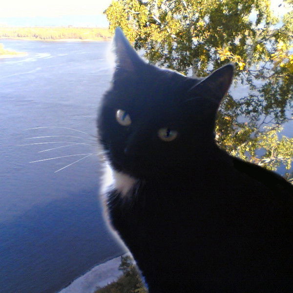 Алексей Кузьмин