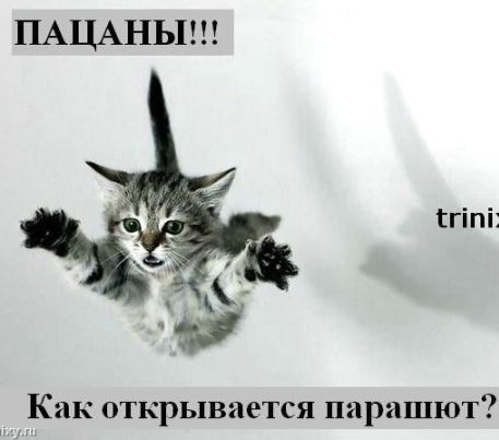 Ирина Андрусенко