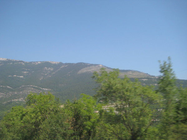 Королев Александр