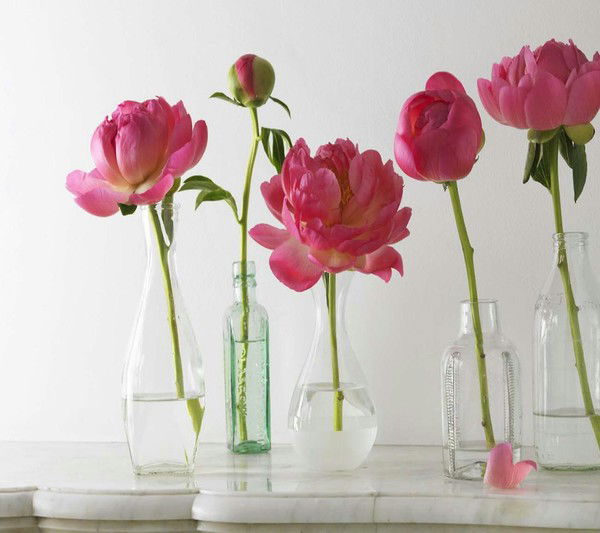 Алмагуль Жакупова