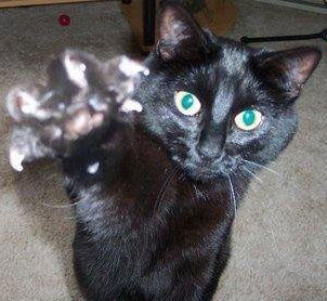 Алла Корякина(Нефедова)