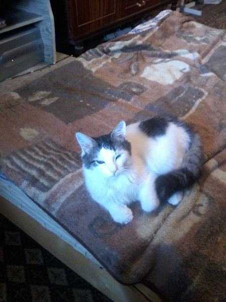 Анна Жигарева