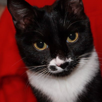 Марина Давыдова