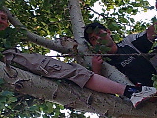 Владимир Бенц