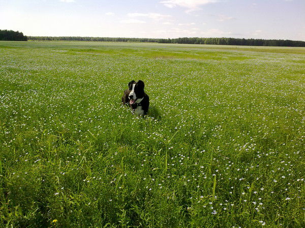 Артём Ишков