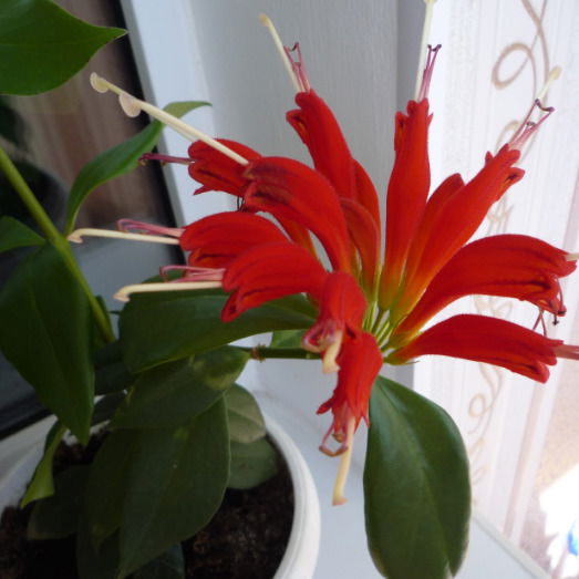 Валентина Ходячих