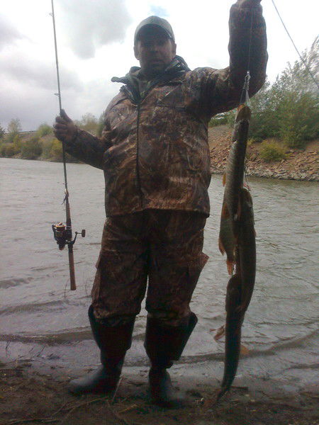 Вячеслав Чертов