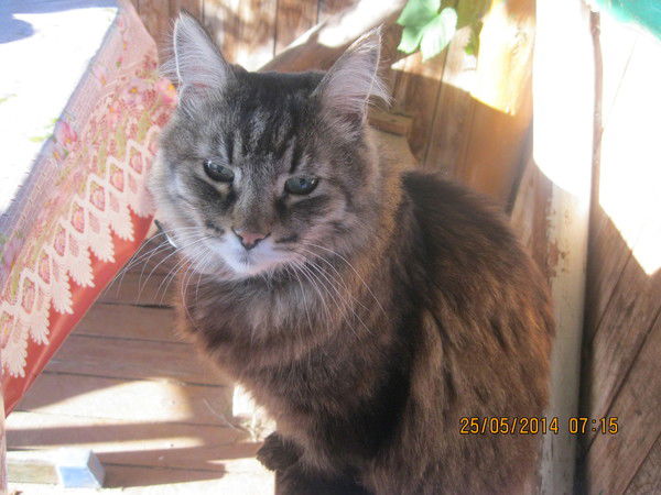 Оленька Смирнова