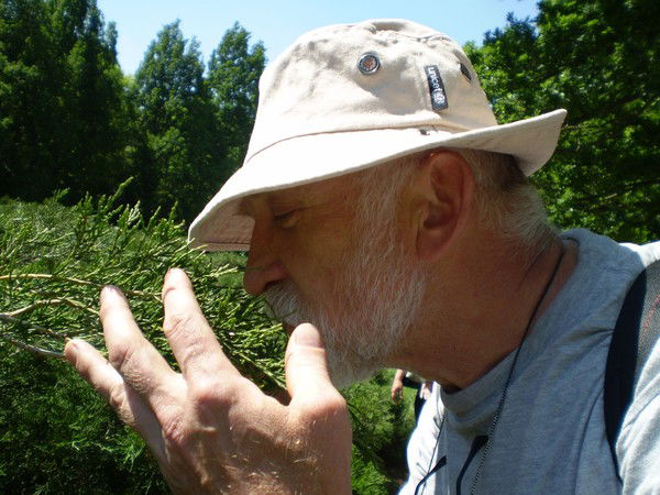 Вячеслав Кузьмичёв