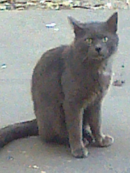 Сергей Уваров