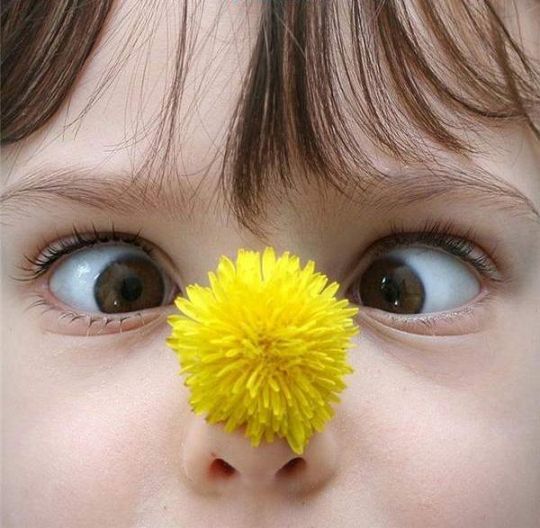 Марта Покатило