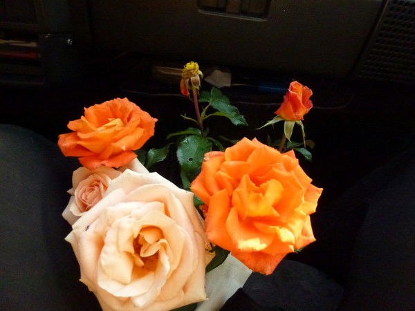 Ольга Дмитриева