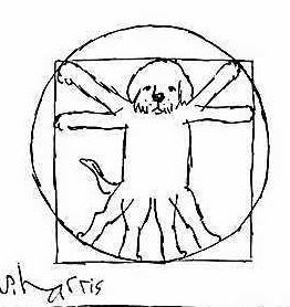 Виктория Курасова