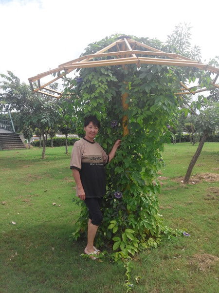 Айгуль Суенова