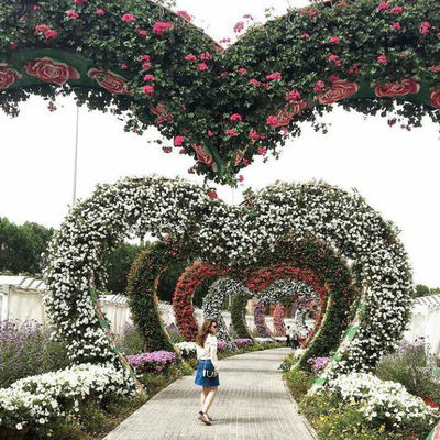 Елизавета Котенко