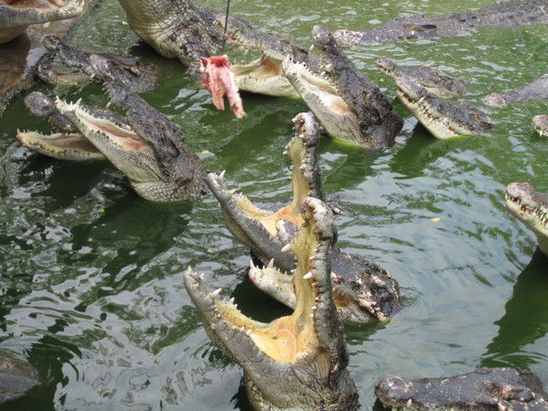 Алексей Ушаков