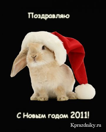 Диана Гармидарова